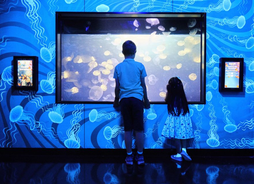 Melbourne: SEA LIFE Aquarium Entrance Ticket - Booking Details and Ticket Validity
