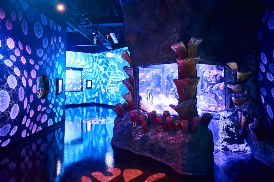 Melbourne: SEA LIFE Aquarium Entrance Ticket - Meeting Point Details and Directions