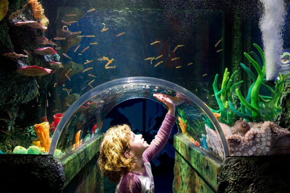 Melbourne: SEA LIFE Aquarium Entrance Ticket - Frequently Asked Questions
