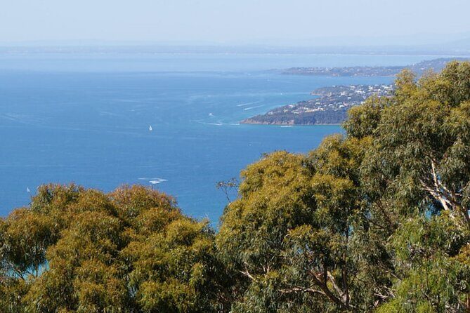 Melbourne Shore Excursion, Wine Region, Wildlife, Shared Tour - The Bottom Line
