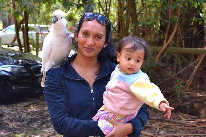 Melbourne Sky High - Private Bush Tour - The Overall Experience: What You Can Expect