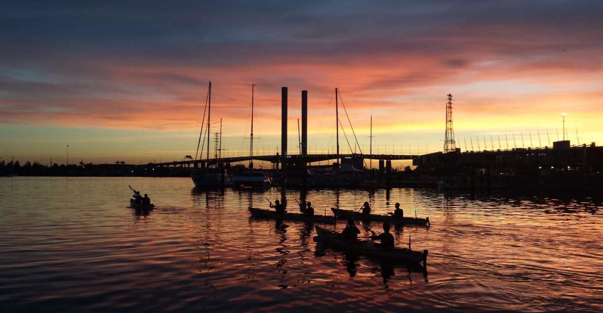 Melbourne: Sunset Kayak Tour With Dinner - Tour Description