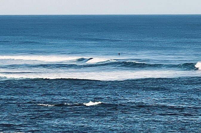 Melbourne: The Great Ocean Road Private Tour - Who Should Book This Tour?