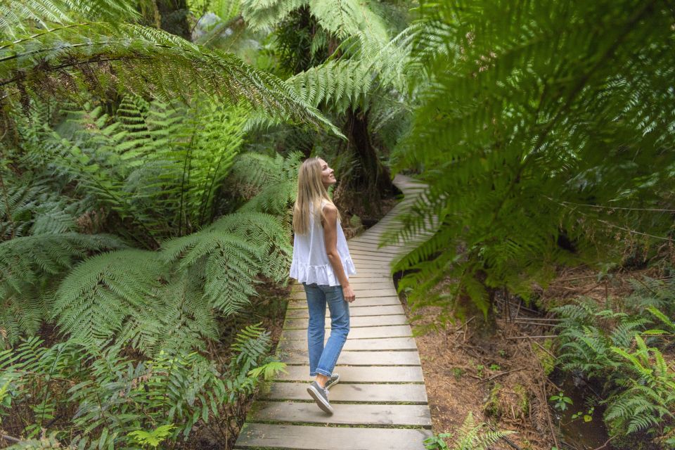 Melbourne to Adelaide: 2-Day Overland Explorer Tour - Recap