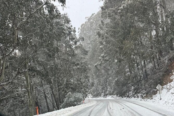 Melbourne: Ultimate Mt Baw Baw Snow Private Tour Experience. - The Transport and Logistics