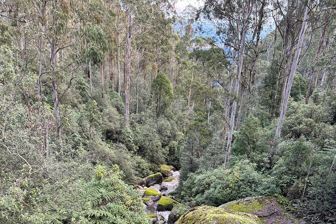 Melbourne: Ultimate Mt Baw Baw Snow Private Tour Experience. - Who Will Love This Tour?