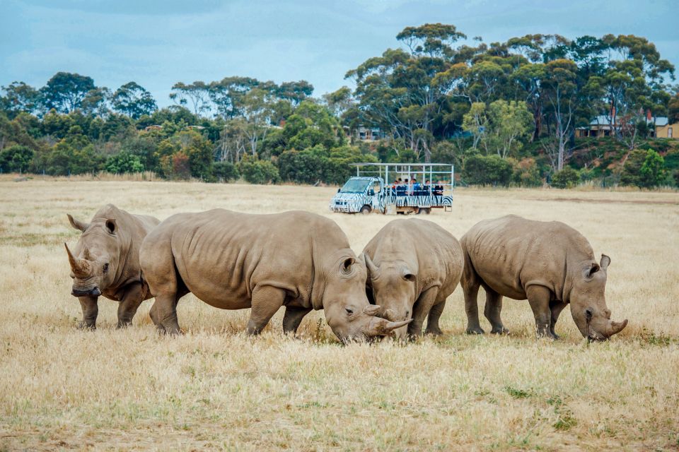 Melbourne: Werribee Open Range Zoo Admission Ticket - Customer Reviews