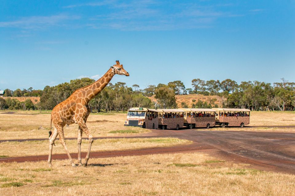 Melbourne: Werribee Open Range Zoo Admission Ticket - Frequently Asked Questions