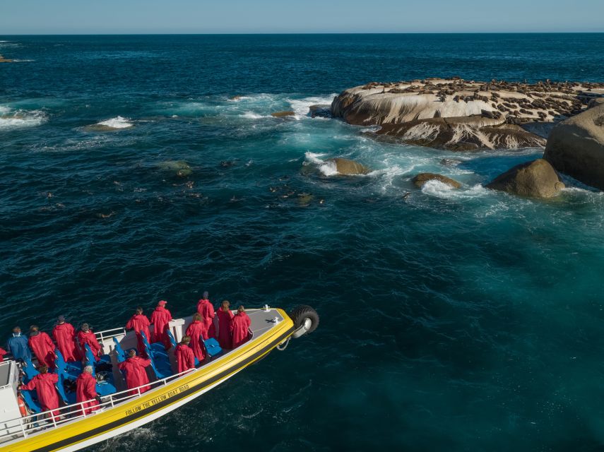 Melbourne: Wilsons Promontory Morning Wilderness Cruise - Key Points