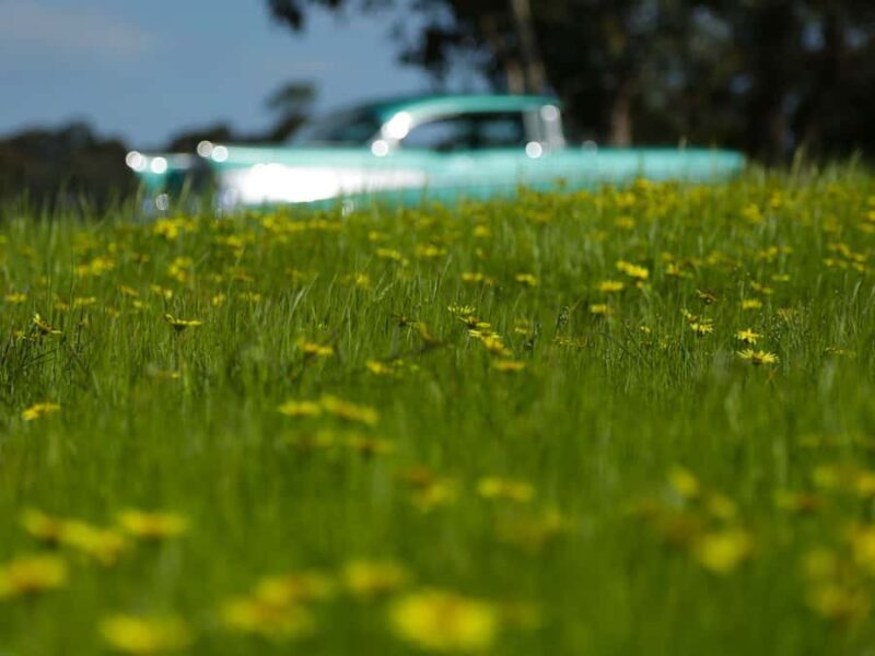 Melbourne: Yarra Valley Food & Wine Tour in a '56 Chevrolet - Final Thoughts