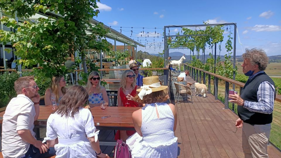 Melbourne: Yarra Valley Wine, Gin, and Chocolate Tour - Key Points