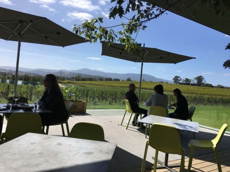 Melbourne: Yarra Valley Wineries Private Day Tour - An In-Depth Look at the Tour Experience