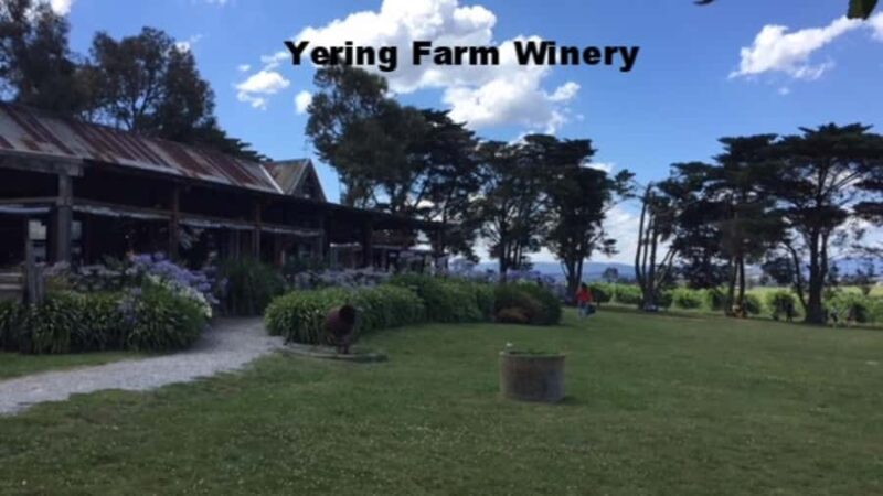 Melbourne: Yarra Valley Winery Private Tour with Lunch - An In-Depth Look at the Yarra Valley Private Tour