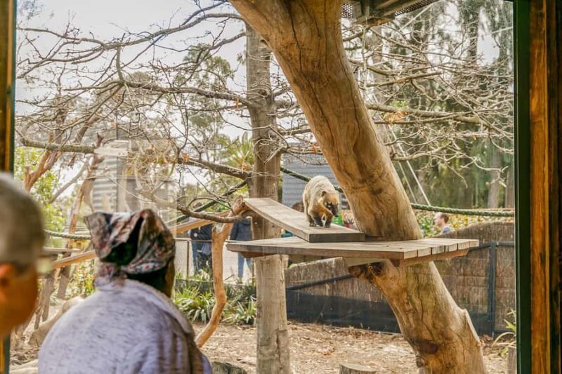 Melbourne Zoo: 1-Day Entry Ticket - Introduction