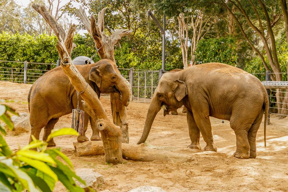 Melbourne: Zoo 1-Day Entry Ticket - Location & Accessibility