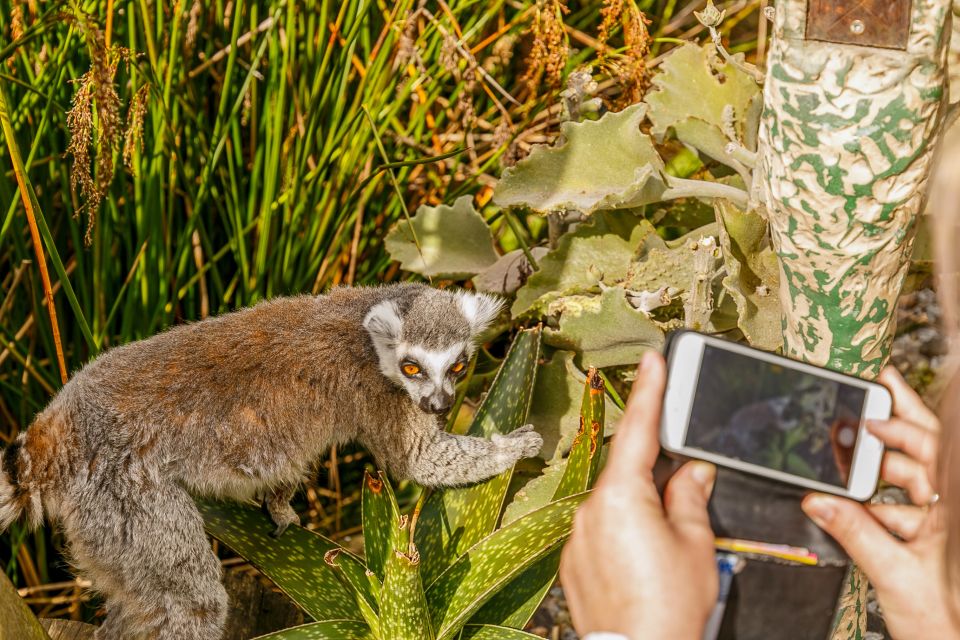 Melbourne: Zoo 1-Day Entry Ticket - Visitor Reviews