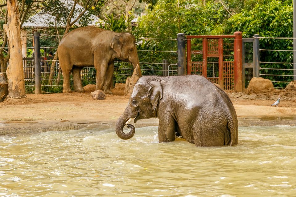 Melbourne: Zoo 1-Day Entry Ticket - Important Information