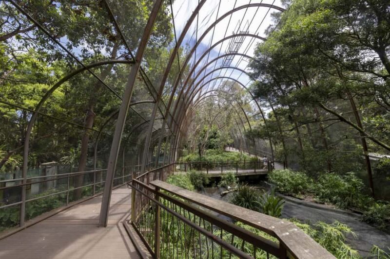 Melbourne Zoo: Australian Wildlife Experience Ticket - The Sum Up