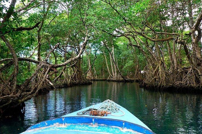 Meliá Caribe Beach - Round Trip Shuttle - Punta Cana Airport - Practical Tips for Booking and Using the Service