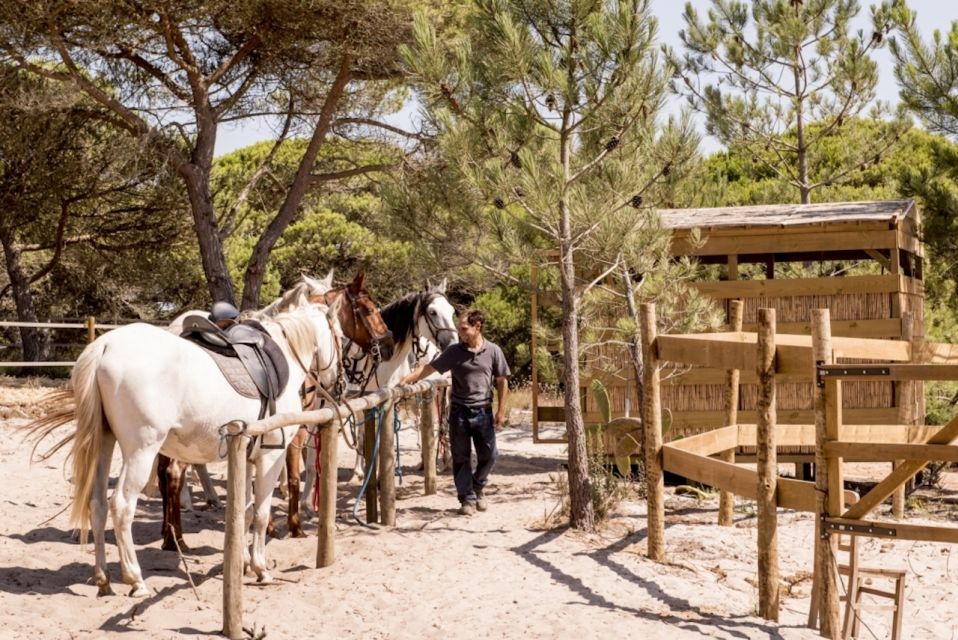 Melides: Horse Riding on the Beach With Wine Tasting - Instructors and Language
