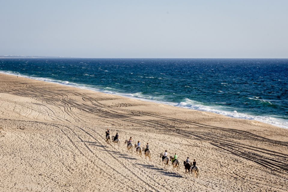 Melides: Horse Riding on the Beach With Wine Tasting - Frequently Asked Questions