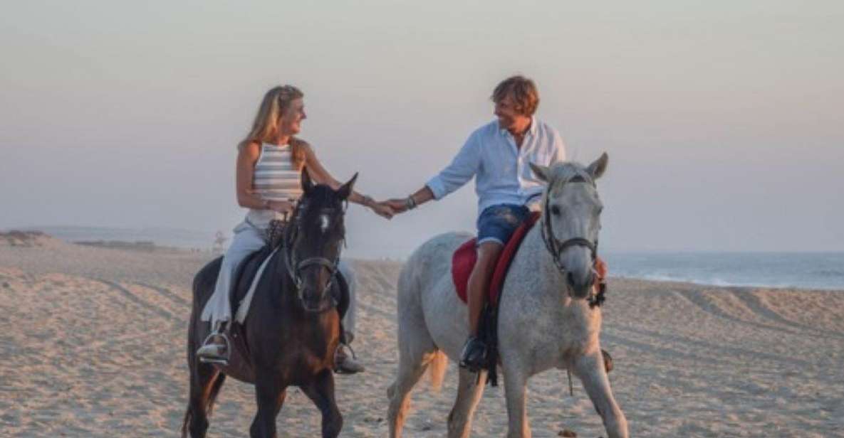 Melides: Horseback Riding on Melides Beach - Key Points