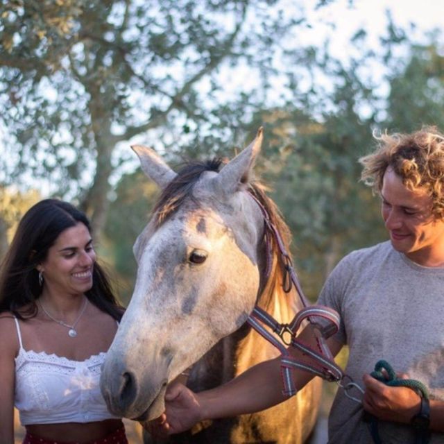 Melides: Horseback Riding on Melides Beach - Highlights