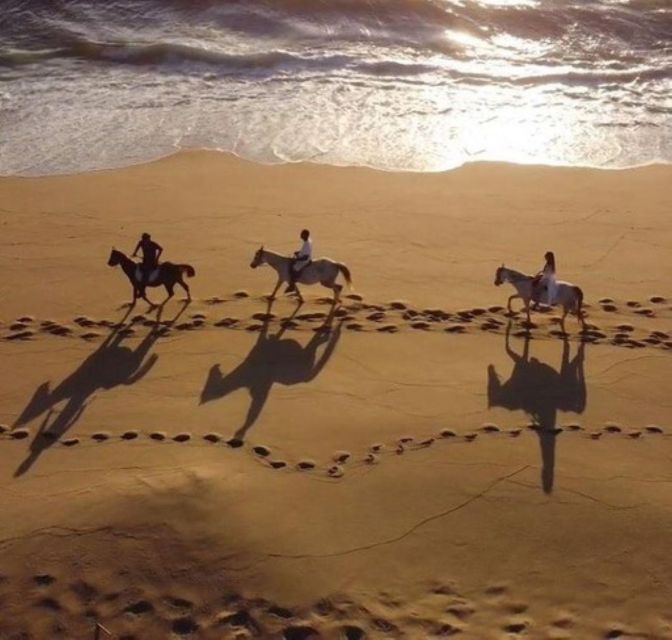 Melides: Horseback Riding on Melides Beach - Meeting Point