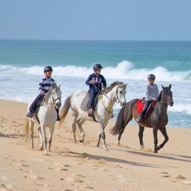 Melides: Horseback Riding on Melides Beach - Booking and Reservation