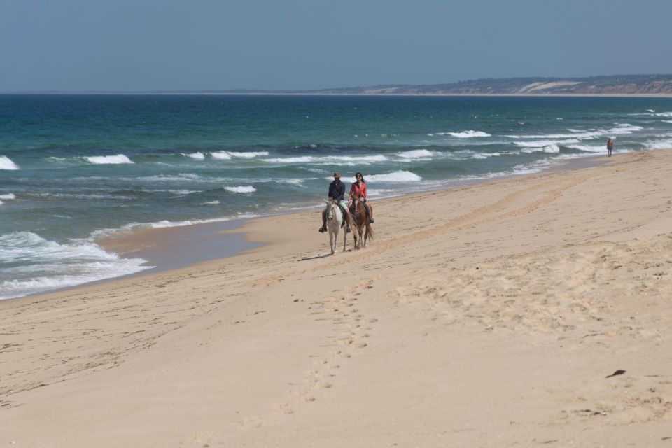 Melides: Horseback Riding on Melides Beach - Experience Testimonials