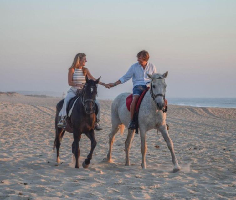 Melides: Horseback Riding on Melides Beach - Frequently Asked Questions