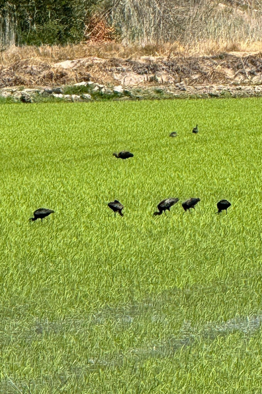 Melides: Moto 4 | Rice fields & Coastal Tour - Explore Portugal’s Natural Beauty on a Moto 4 Adventure