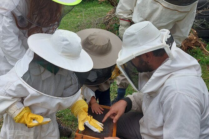 Melissini Beekeeping Experience - Who Should Consider This Experience?