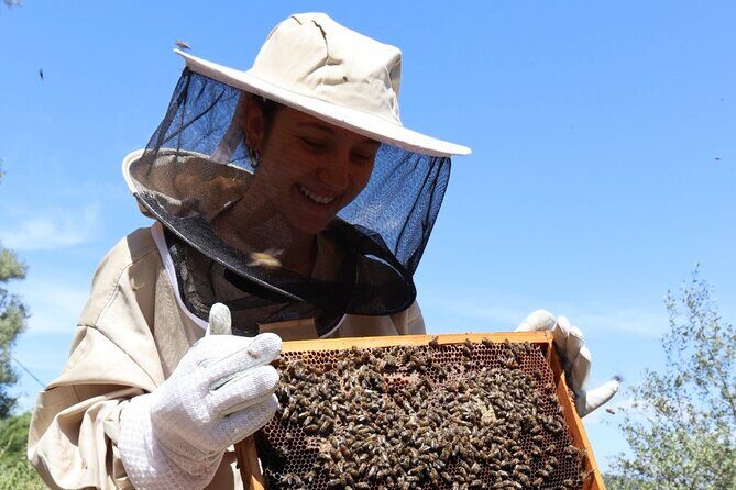 Melissini Beekeeping Experience - Final Thoughts