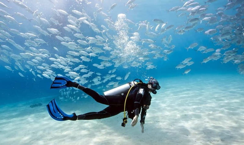 Mellieha: Introductory Diving Session in the Open Sea - Equipment and Safety
