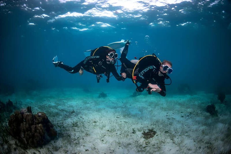 Mellieha: Introductory Diving Session in the Open Sea - Pricing and Value