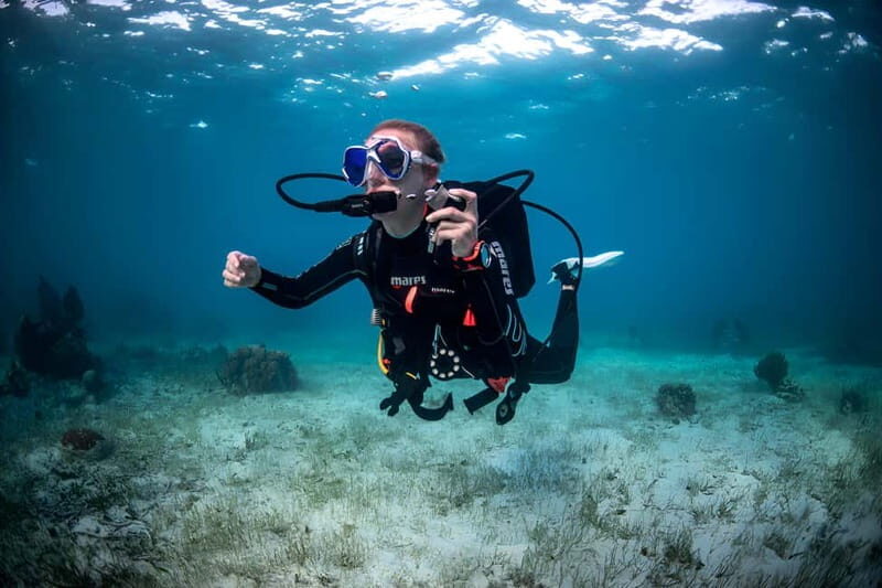 Mellieha: Introductory Diving Session in the Open Sea - The Sum Up