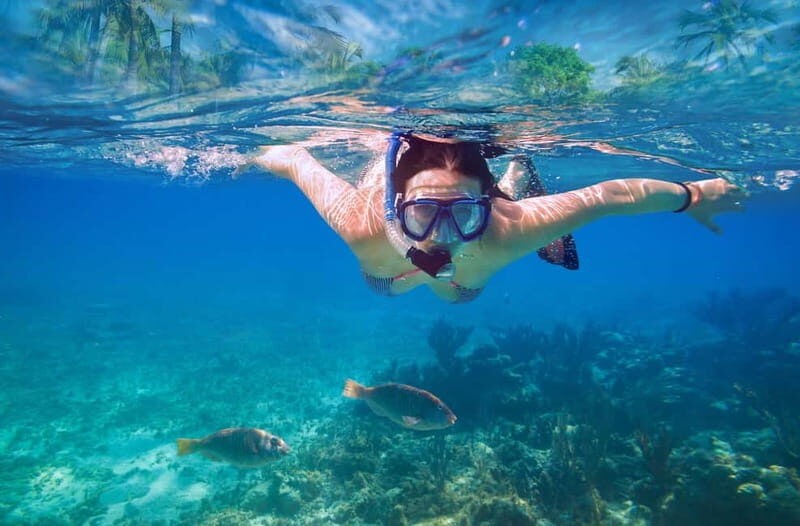 Mellieha: Round Comino, Blue Lagoon & Gozo Cruise with Water - Price and Value