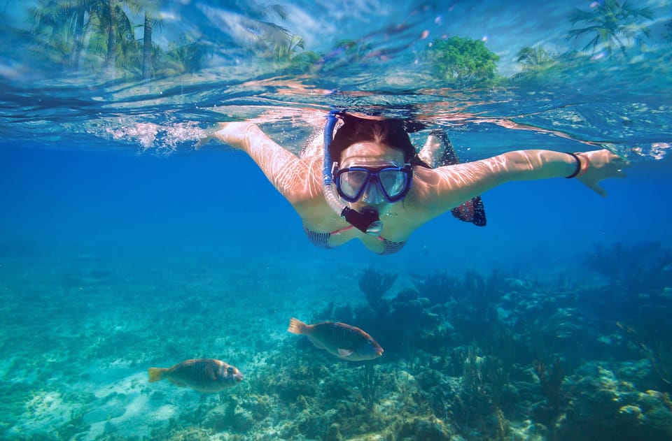Mellieha: Round Comino, Blue Lagoon & Gozo Cruise with Water - FAQ