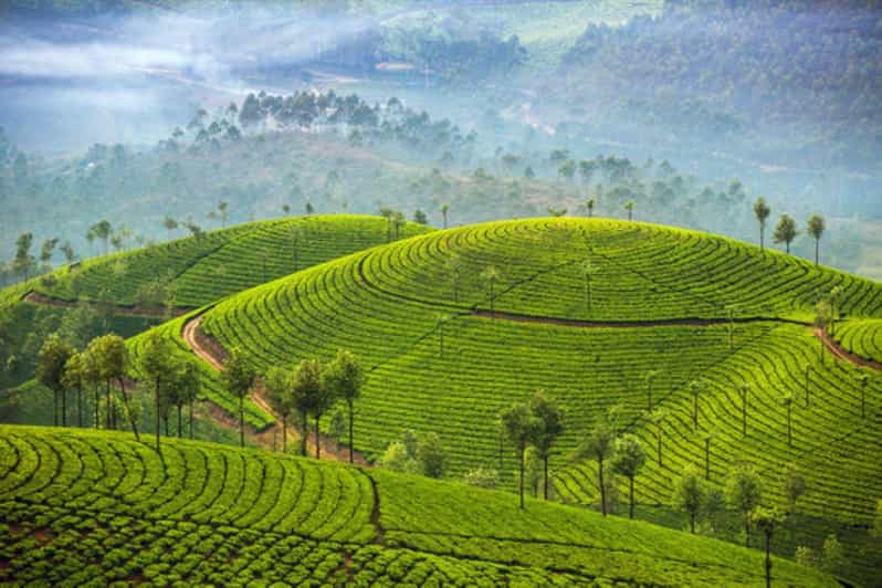 Memorable, Munnar Hill Station Tour (02 Nights / 03 Days) - Arrival and Departure