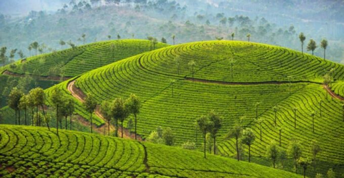 Memorable, Munnar Hill Station Tour (02 Nights / 03 Days) - Frequently Asked Questions