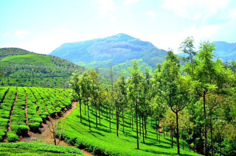 Memorable, Munnar Hill Station Tour (02 Nights / 03 Days) - Booking Information