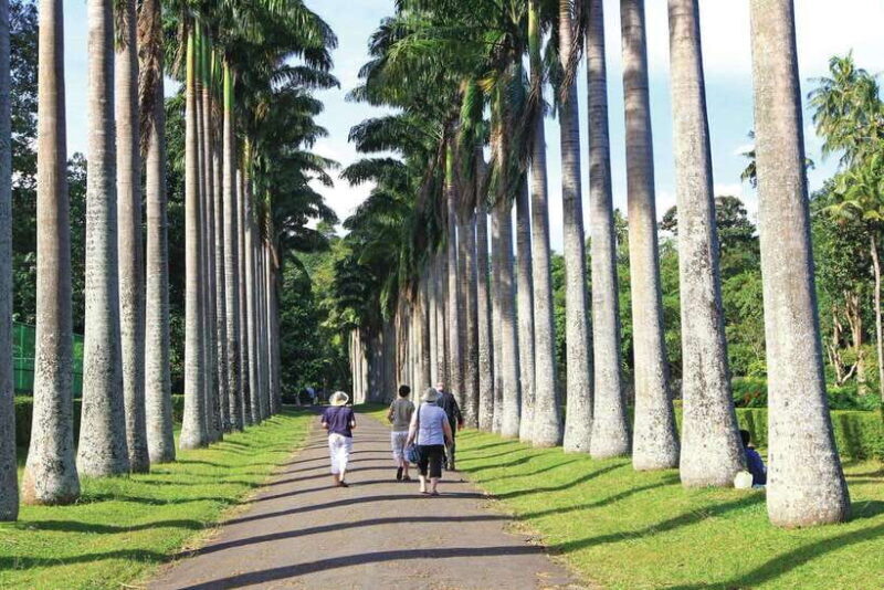 Memorable Tuk Tuk City Tour of Kandy - Discovering Kandy: An In-Depth Experience