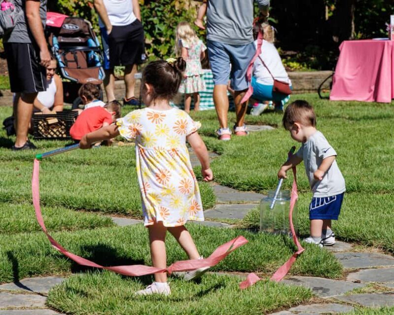 Memphis Botanic Garden Entry Ticket - Who Would Enjoy This Experience?