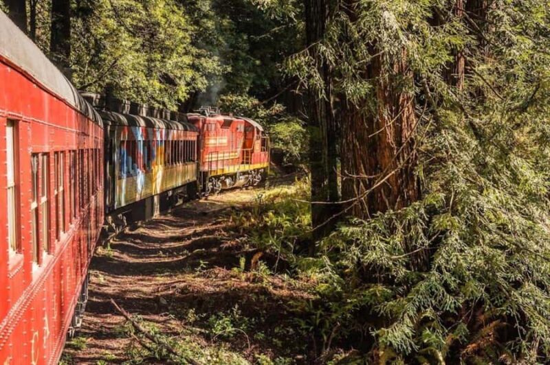 Mendocino County: Skunk Train Pudding Creek Train Ride - Key Points