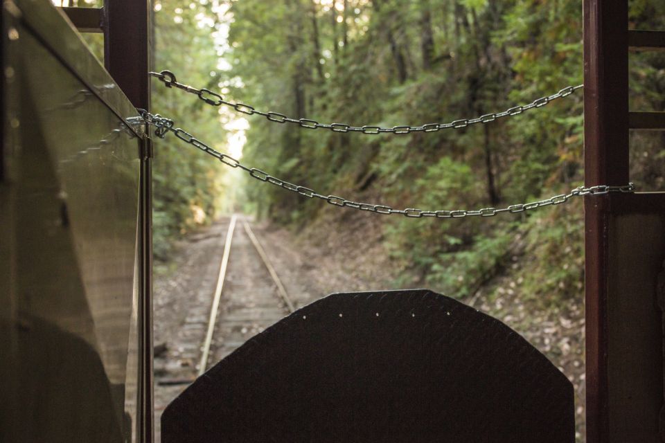 Mendocino County: Skunk Train Wolf Tree Turn Train Ride - Scenic Willits Valley and Noyo River