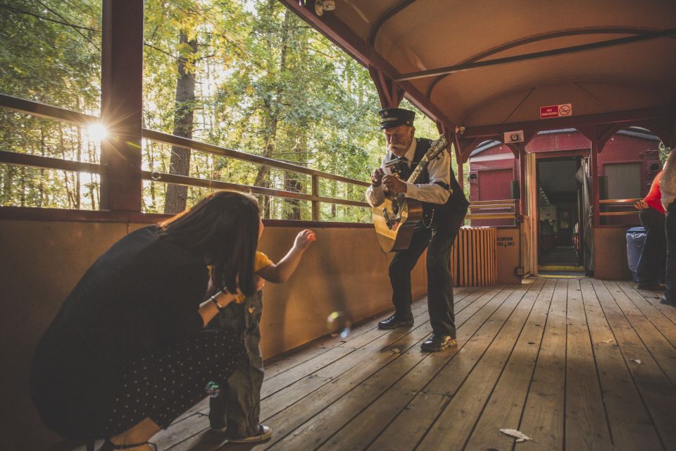 Mendocino County: Skunk Train Wolf Tree Turn Train Ride - Travel Through Tunnel #2 and Canyon