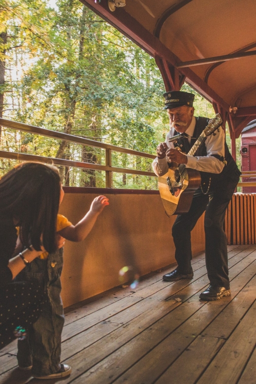Mendocino County: Skunk Train Wolf Tree Turn Train Ride - Prices and Duration of the Ride