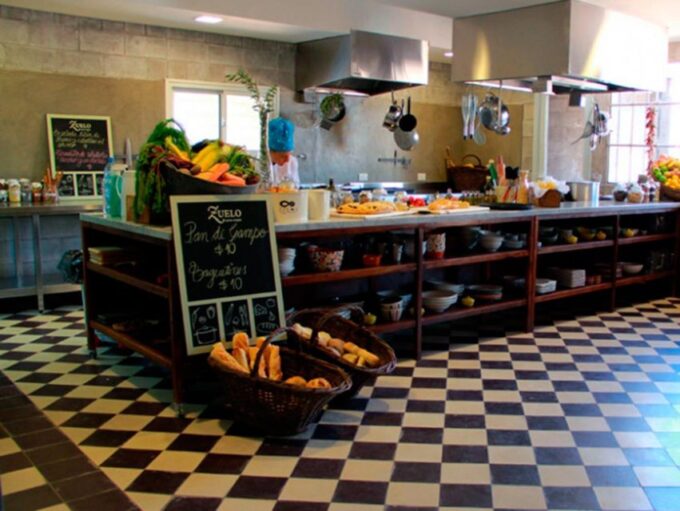Mendoza: Half-Day Wine Tour With Tastings and Lunch - Inclusions and Benefits