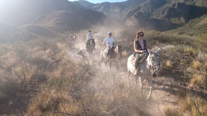 Mendoza: Horseback Riding in the Andes With Authentic BBQ - Key Points